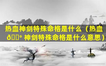 热血神剑特殊命格是什么（热血 💮 神剑特殊命格是什么意思）